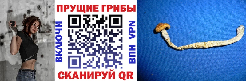 Галлюциногенные грибы мухоморы  купить наркоту  Зарайск 